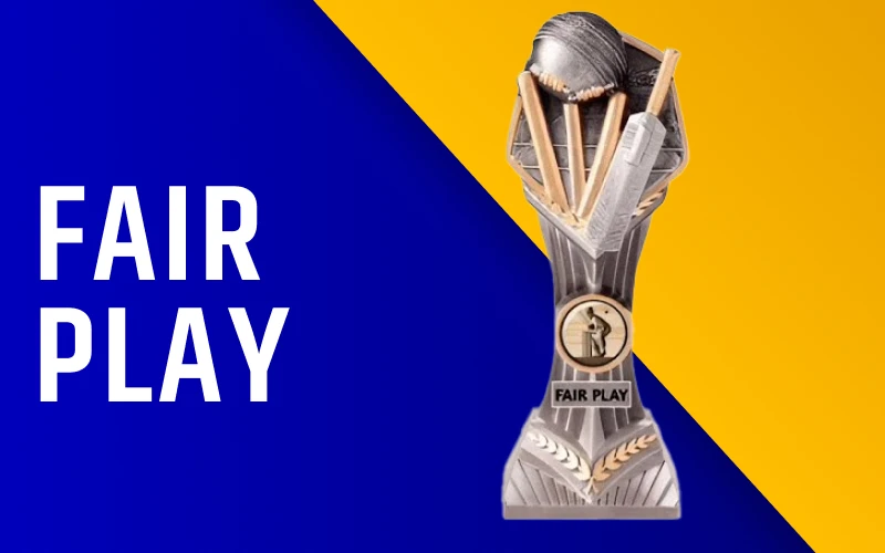 Each IPL season concludes with the presentation of the Fair Play award to the team with the best fair play record.